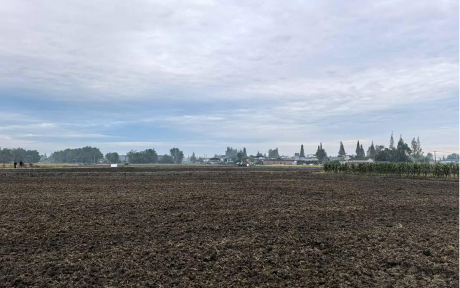 四川省成都会2024年大邑县新场镇、安仁镇高标准农...